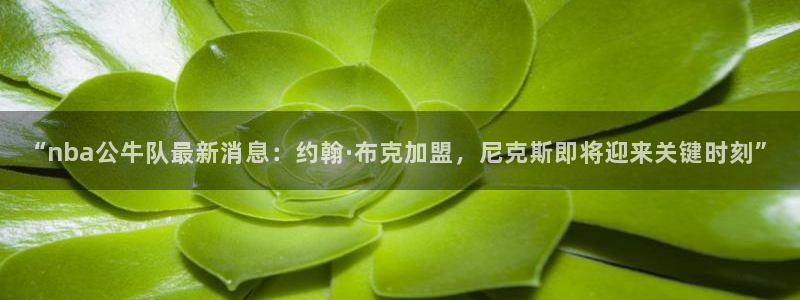 “nba公牛队最新消息：约翰·布克加盟，尼克斯即将迎来关键时刻”