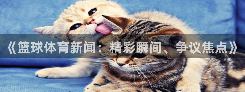 《篮球体育新闻：精彩瞬间、争议焦点》