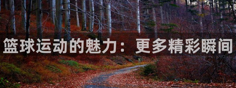 篮球运动的魅力：更多精彩瞬间