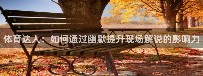 体育达人：如何通过幽默提升现场解说的影响力