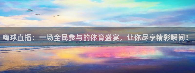 嗨球直播：一场全民参与的体育盛宴，让你尽享精彩瞬间！