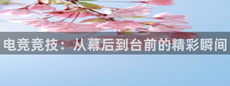 电竞竞技：从幕后到台前的精彩瞬间