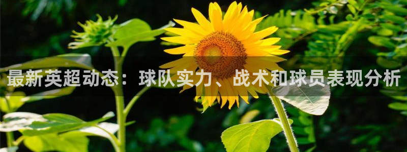 最新英超动态：球队实力、战术和球员表现分析