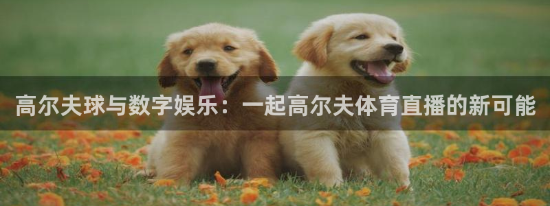 高尔夫球与数字娱乐：一起高尔夫体育直播的新可能