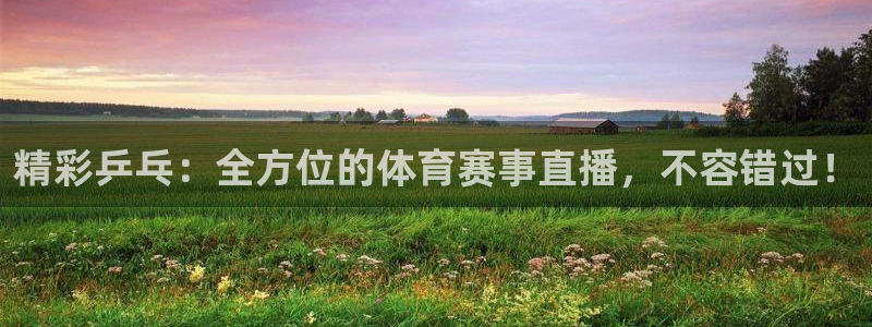 精彩乒乓：全方位的体育赛事直播，不容错过！