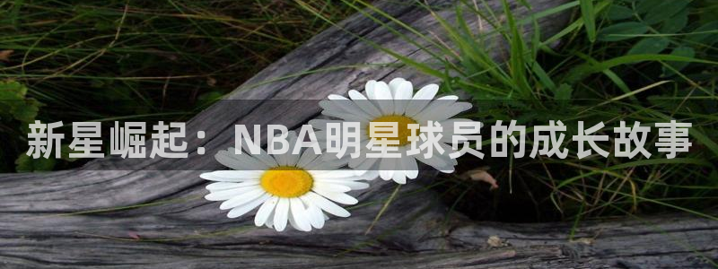 新星崛起：NBA明星球员的成长故事