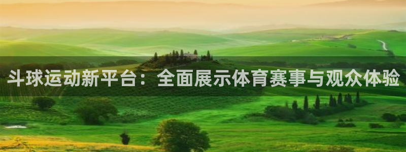 斗球运动新平台：全面展示体育赛事与观众体验