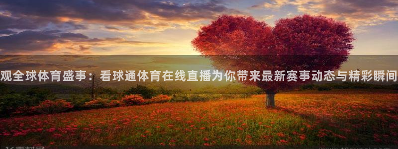 观全球体育盛事：看球通体育在线直播为你带来最新赛事动态与精彩瞬间