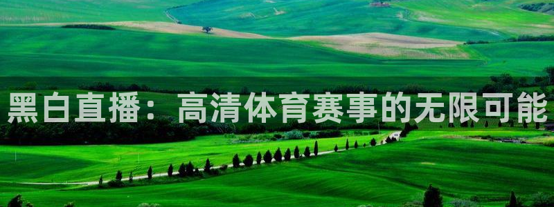 黑白直播：高清体育赛事的无限可能