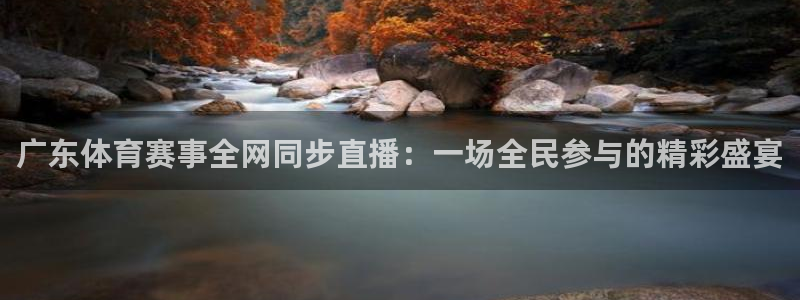 广东体育赛事全网同步直播：一场全民参与的精彩盛宴