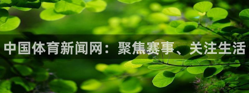 中国体育新闻网：聚焦赛事、关注生活