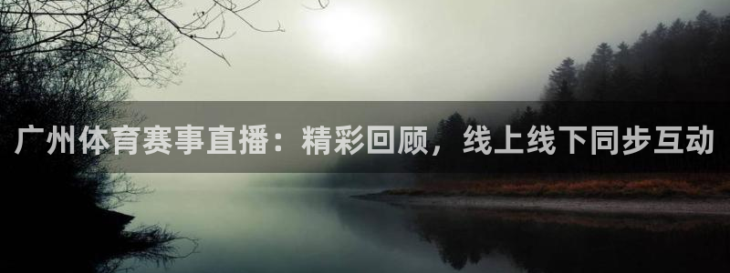 广州体育赛事直播：精彩回顾，线上线下同步互动