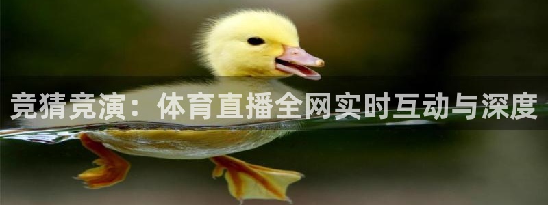 竞猜竞演：体育直播全网实时互动与深度