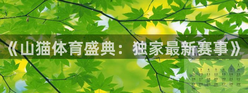 《山猫体育盛典：独家最新赛事》