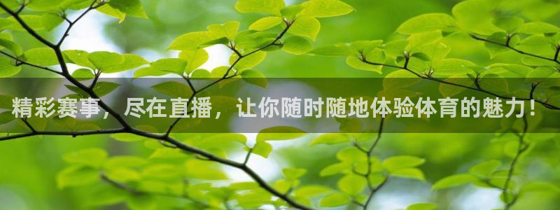 精彩赛事，尽在直播，让你随时随地体验体育的魅力！