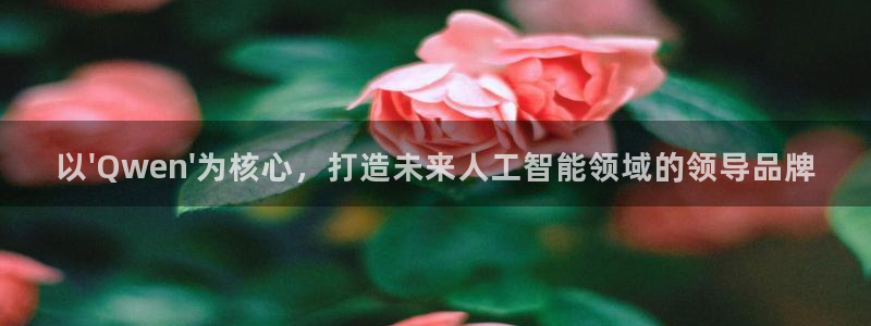 以\'Qwen\'为核心，打造未来人工智能领域的领导品牌