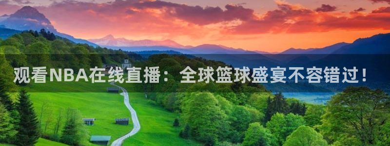 观看NBA在线直播：全球篮球盛宴不容错过！