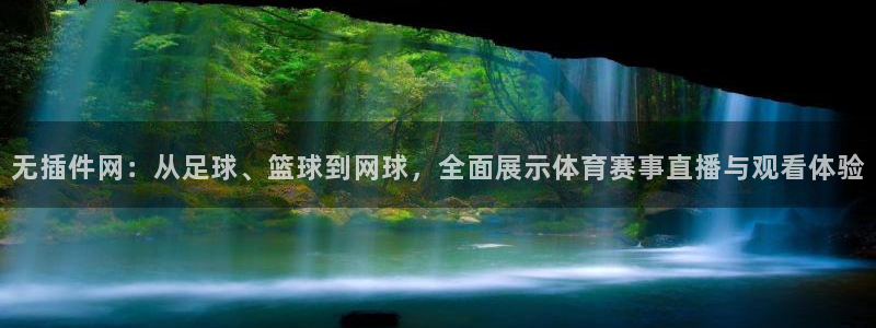 无插件网：从足球、篮球到网球，全面展示体育赛事直播与观看体验