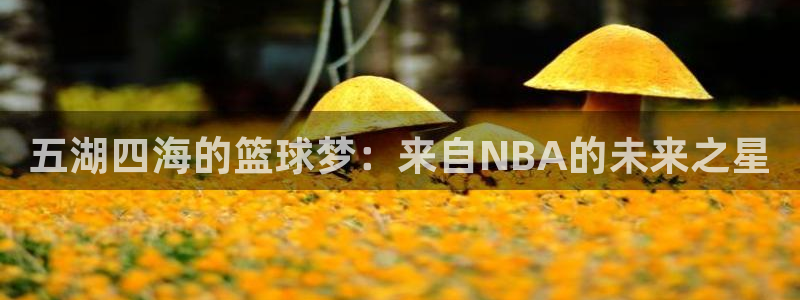 五湖四海的篮球梦：来自NBA的未来之星