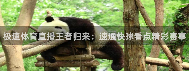 极速体育直播王者归来：速通快球看点精彩赛事