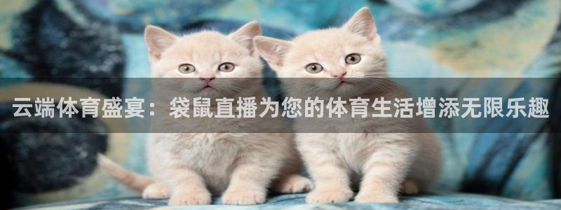 云端体育盛宴：袋鼠直播为您的体育生活增添无限乐趣
