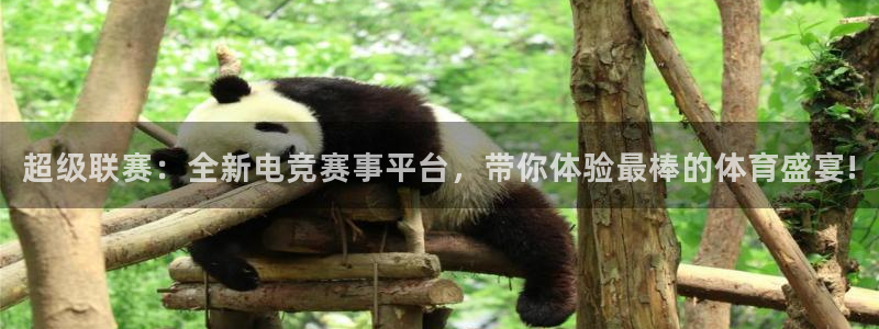 超级联赛：全新电竞赛事平台，带你体验最棒的体育盛宴!