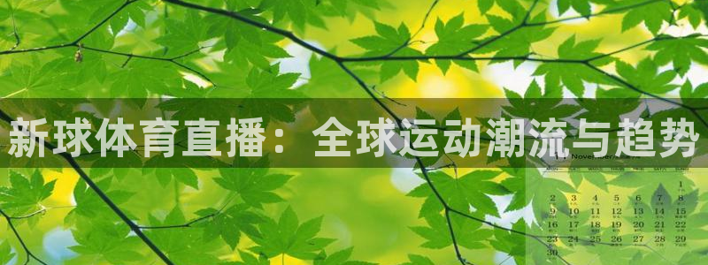 新球体育直播：全球运动潮流与趋势