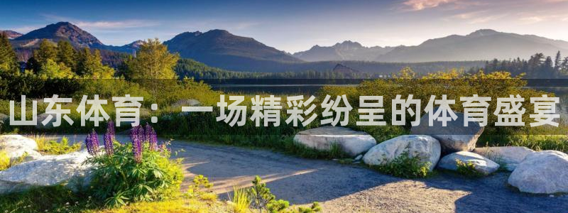 山东体育：一场精彩纷呈的体育盛宴
