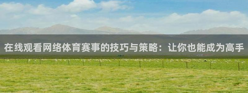 在线观看网络体育赛事的技巧与策略：让你也能成为高手