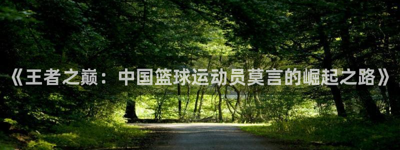 《王者之巅：中国篮球运动员莫言的崛起之路》