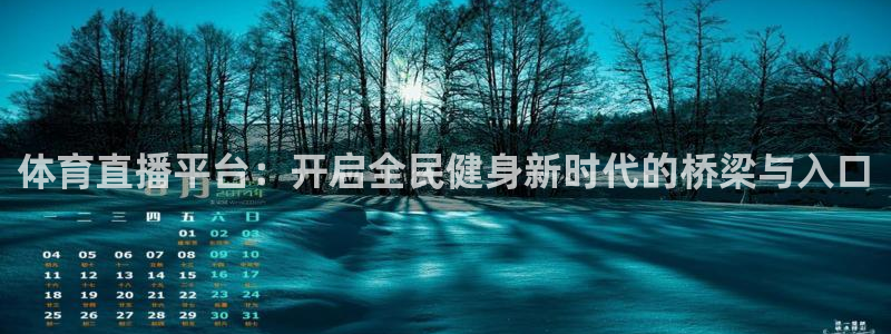 体育直播平台：开启全民健身新时代的桥梁与入口