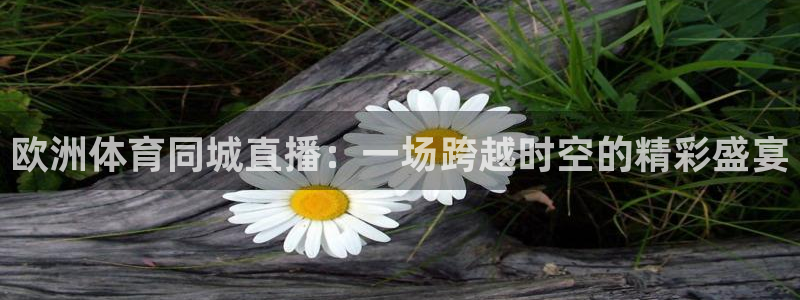 欧洲体育同城直播：一场跨越时空的精彩盛宴
