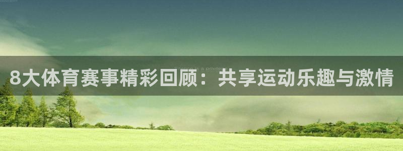 8大体育赛事精彩回顾：共享运动乐趣与激情