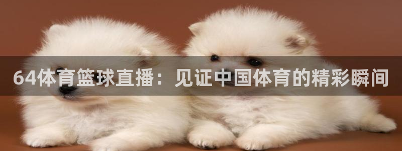 64体育篮球直播：见证中国体育的精彩瞬间