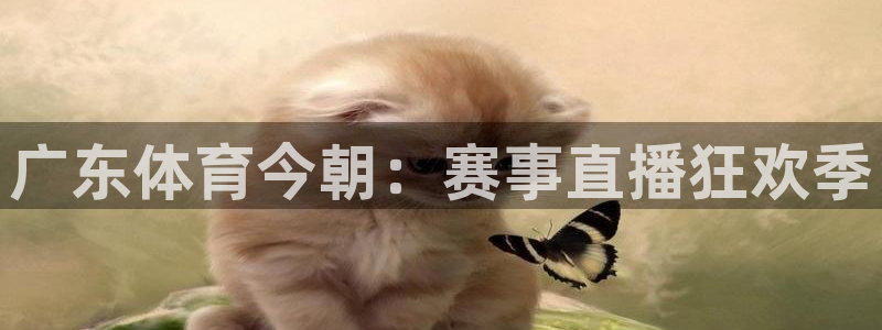 广东体育今朝：赛事直播狂欢季