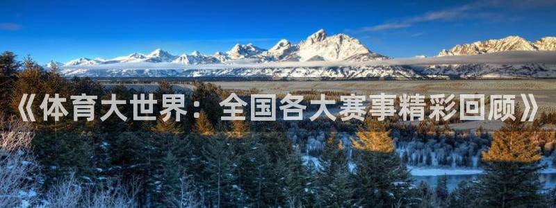 《体育大世界：全国各大赛事精彩回顾》