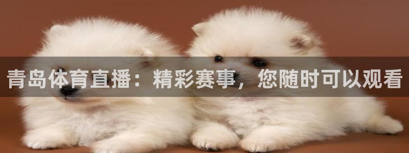 青岛体育直播：精彩赛事，您随时可以观看