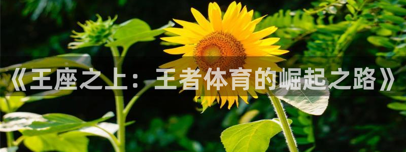 《王座之上：王者体育的崛起之路》