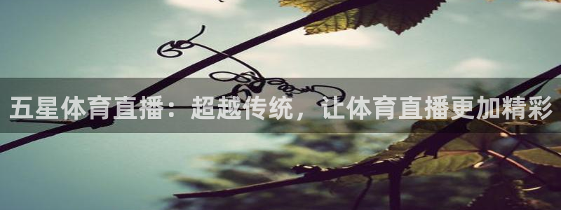 五星体育直播：超越传统，让体育直播更加精彩