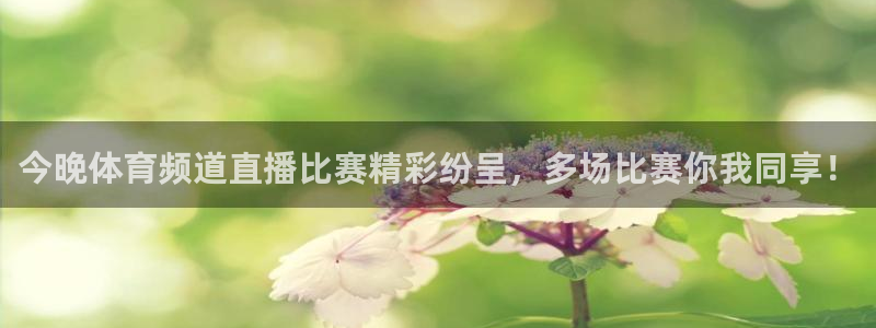 今晚体育频道直播比赛精彩纷呈，多场比赛你我同享！