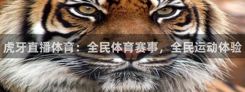 虎牙直播体育：全民体育赛事，全民运动体验
