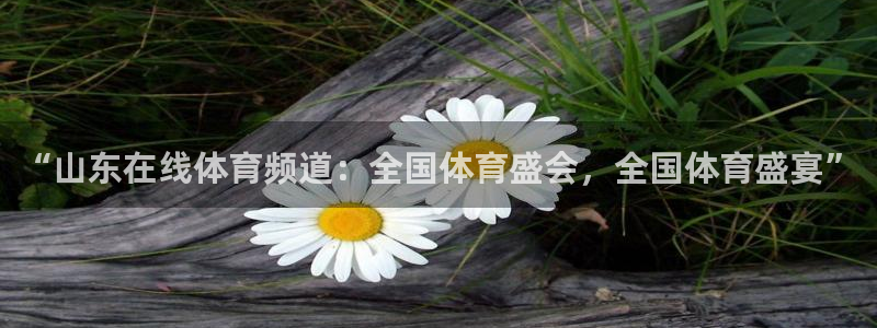 “山东在线体育频道：全国体育盛会，全国体育盛宴”