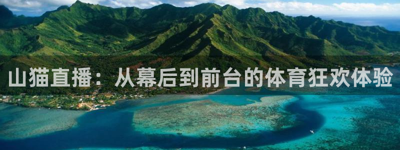 山猫直播：从幕后到前台的体育狂欢体验