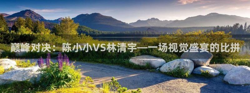 巅峰对决：陈小小VS林清宇—一场视觉盛宴的比拼