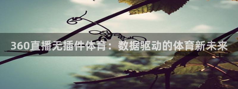 360直播无插件体育：数据驱动的体育新未来