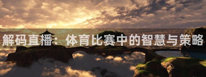 解码直播：体育比赛中的智慧与策略