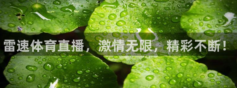 雷速体育直播，激情无限，精彩不断！