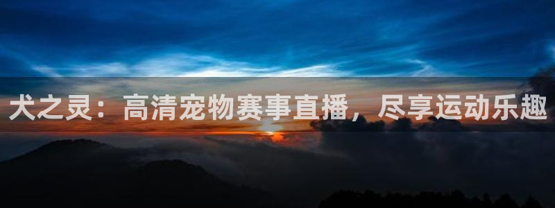 犬之灵：高清宠物赛事直播，尽享运动乐趣