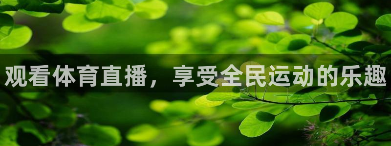 观看体育直播，享受全民运动的乐趣