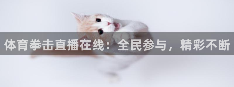 体育拳击直播在线：全民参与，精彩不断